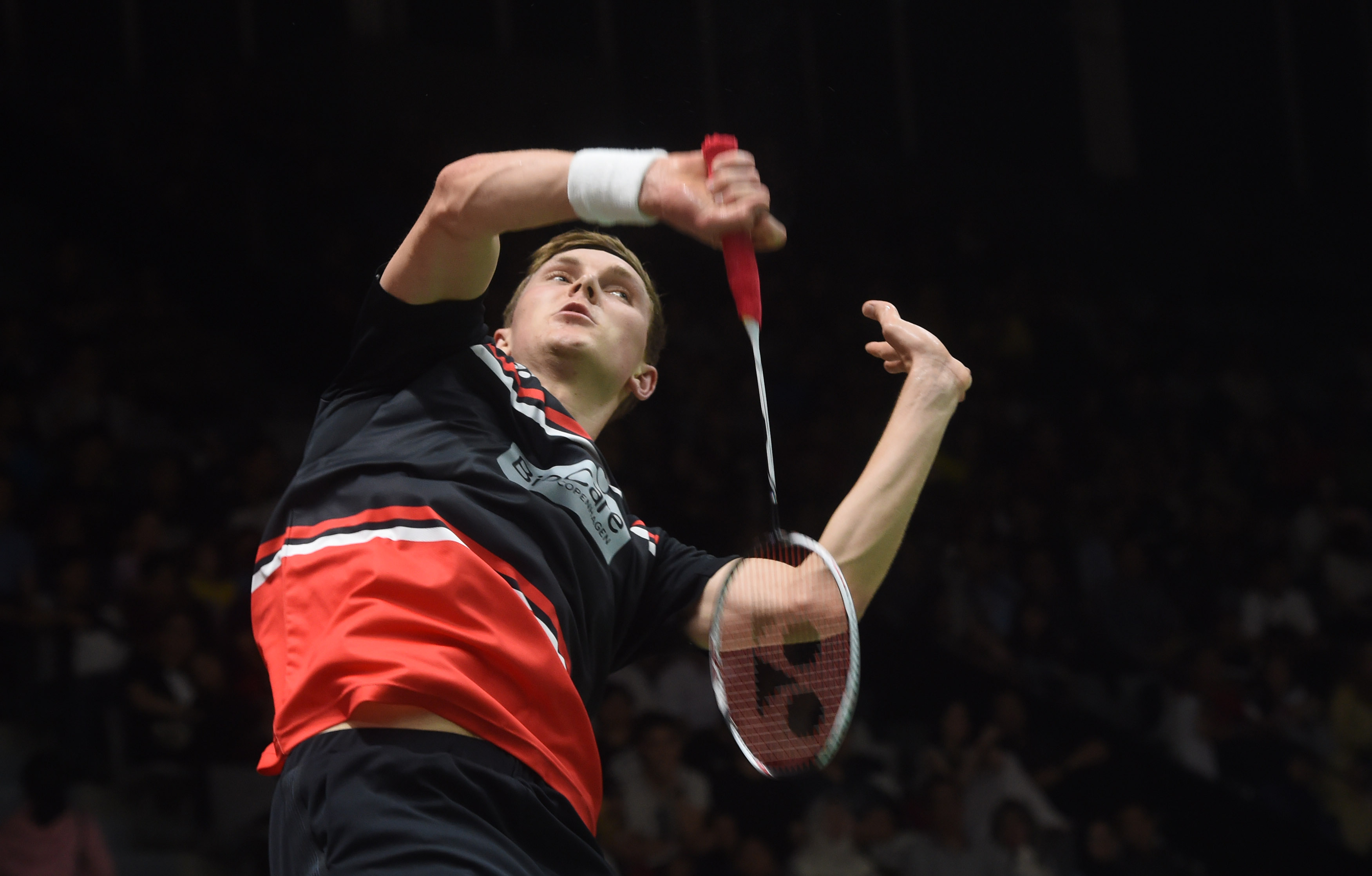 入信心与活 入信心与活